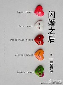 閃婚之後